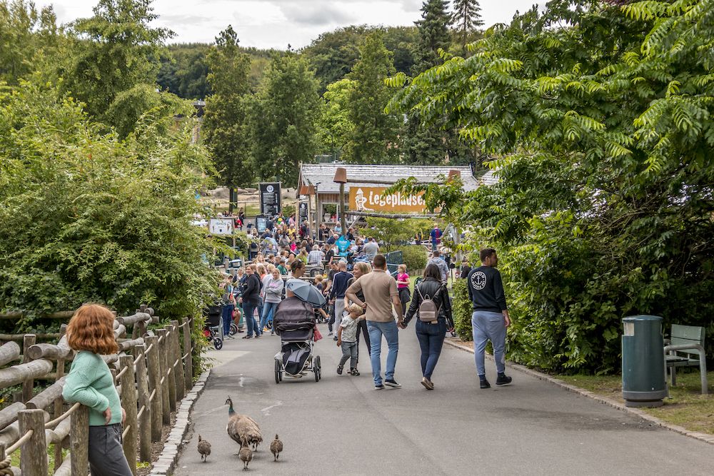 Question of the Week